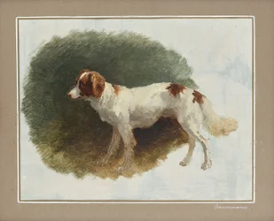 Hunting Dog