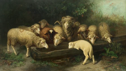The Sheep Trough