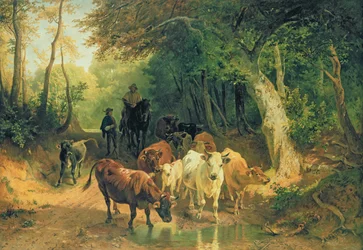 Unknown Image