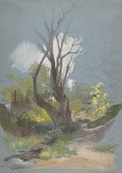 Mountain Path with a Tree