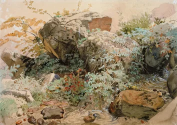 Rock Blocks Overgrown with Shrubs by a Mountain Stream