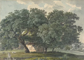 Italian Landscape with Trees