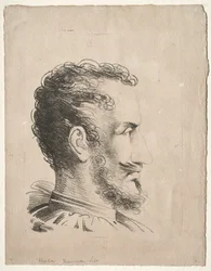 Profile Head