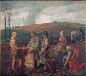 Potato Harvest