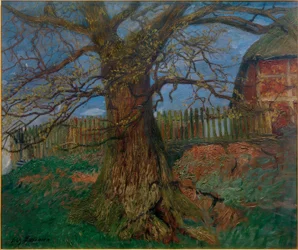 The Oak