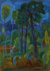 Moor Landscape