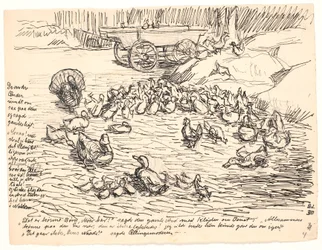 The Other Ducks...