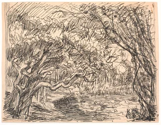 A Forest Lake
