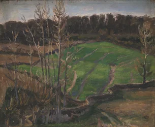 Landscape at Svanninge with Green Winter Crops