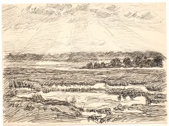 Mosel Landscape with Low Sun