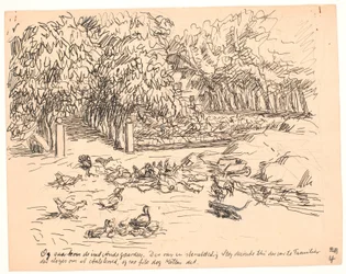 And Then They Entered the Duck Yard...