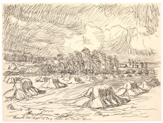 Around Field and Meadow Were Large Forests