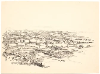 Study for a Moss Landscape