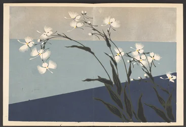Patterns of plants and flowers from life