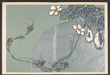 Patterns of Plants and Flowers from Life