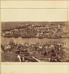 Plate 3