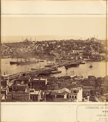 Plate 7