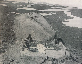 Hansens Grave On Cape Adare, 1911, 1913