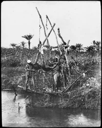 A Shaduf on the Nile, Egypt
