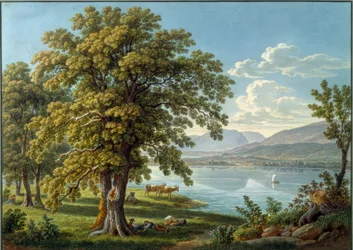 View from St. Peter