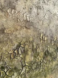 Aged Cracked Surface