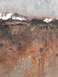 Cracked Earth Texture