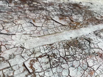Cracked White Surface
