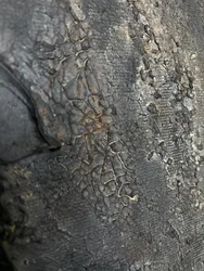 Deeply Cracked Texture
