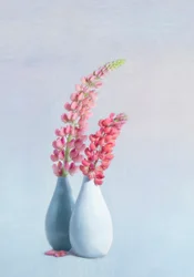 Soft Pink Lupine Vases