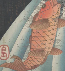 Red Carp Ascending a Waterfall
