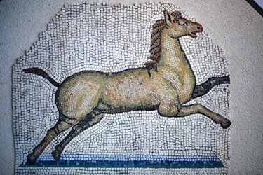 Roman Mosaic