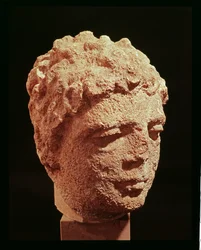 Head of a Divinity