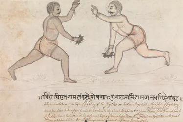 Two Jeyties Fighting