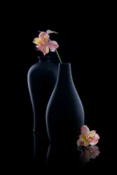 Elegant Alstroemeria Vases