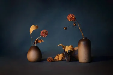 Moody Dried Flowers