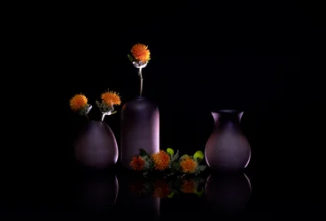 Orange Flowers Still Life