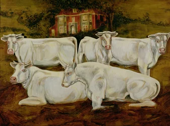 Charolais Bulls, Dippenhall, Farnham