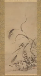 Millet and Sparrows, mid-16th century