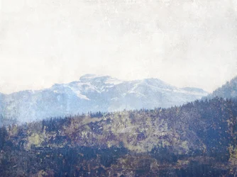 Misty Mountain Forest