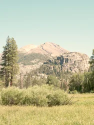 Mountain Meadow Serenity