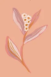 Peach Floral Bloom