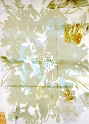 Soft Botanical Dreams