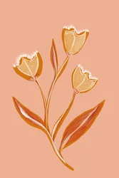 Soft Peach Flowers