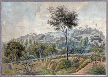 Landscape in La Reunion