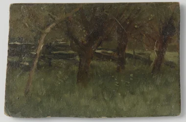 Orchard