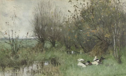 Ducks by a Willow Grove