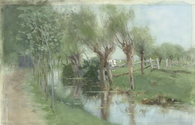 Willows by a Ditch