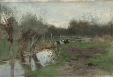 Pasture with Lying Cow by a Ditch