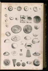 Plate 014