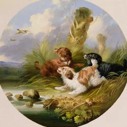 Three Spaniels Flushing Mallard